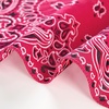 image:imageCicy Bell Paisley Pet Bandanas Dogs and Cats Lightweight Cotton Double Sided Square Scarves for Walks Parties PhotosRose Red