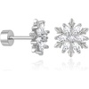 Silver Snowflake
