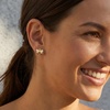 image:imageCicy Bell Bee Stud Earrings For Women 18k Gold Plated Animal Jewelry  925 Sterling Silver Post Animal Jewelry With Cubic Zirconia Wings Cute Tiny Bumble ShimmeringGold