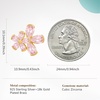 image:imageCicy Bell Women Flower Earrings 18k Gold Plated 925 Silver Post Earrings  Hypoallergenic 925 Sterling Silver Post Colorful Cubic Zirconia Stud Earrings Floral Jewelry Gift For HerPink