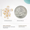image:imageCicy Bell Women Flower Earrings 18k Gold Plated 925 Silver Post Earrings  Hypoallergenic 925 Sterling Silver Post Colorful Cubic Zirconia Stud Earrings Floral Jewelry Gift For HerWhite Floral